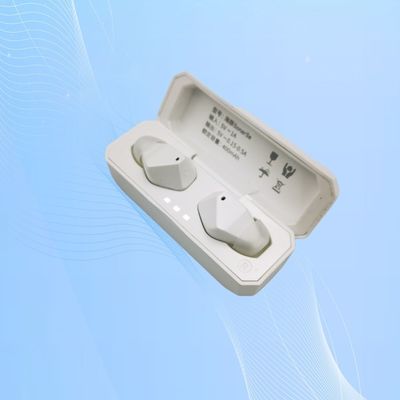 Thiết bị trợ thính nhỏ ITE có thể sạc lại 32 kênh tăng cường giọng nói Thiết bị trợ thính ITC có thể sạc lại